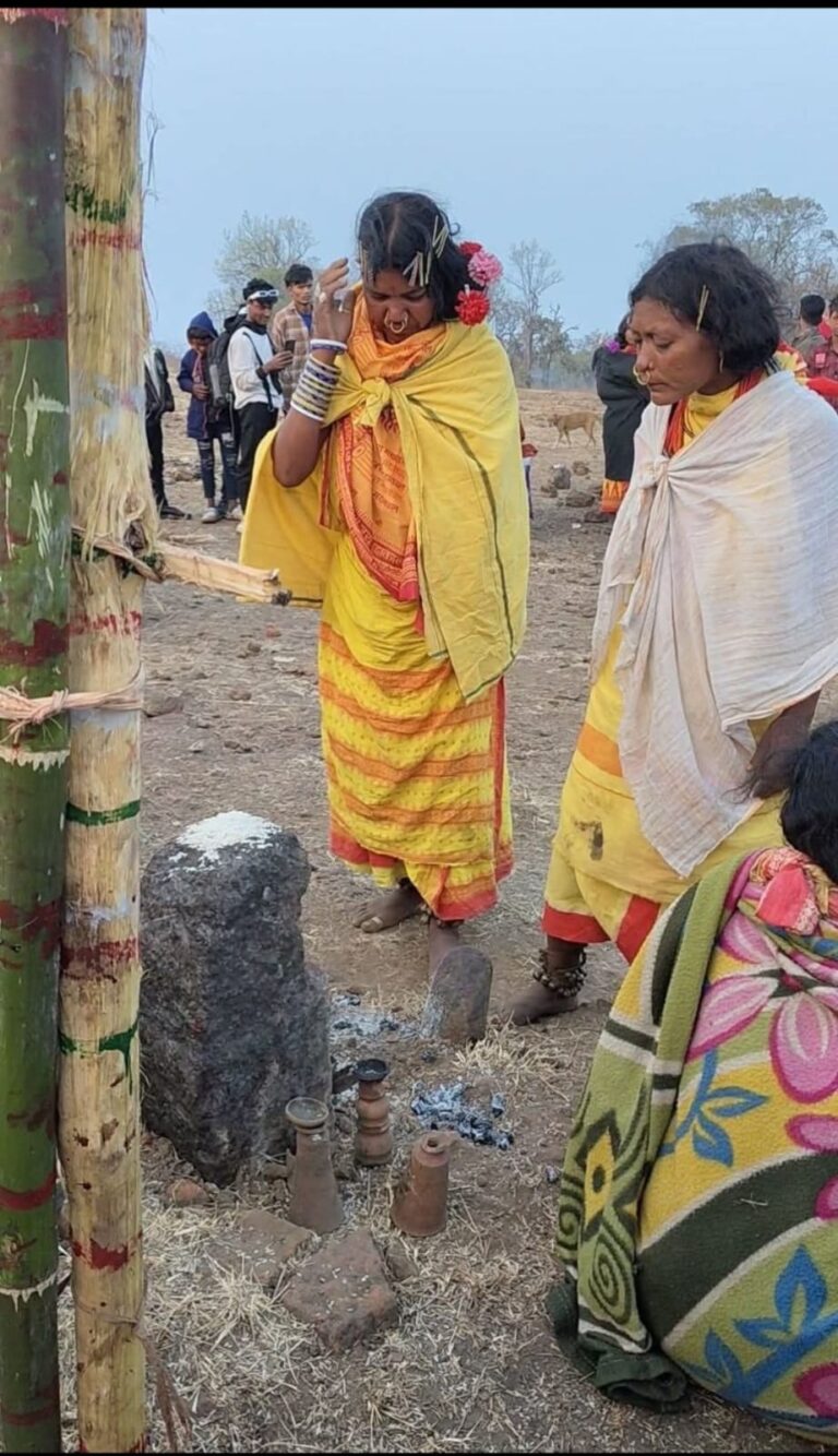 WhatsApp Image 2026-03-11 at 13.29