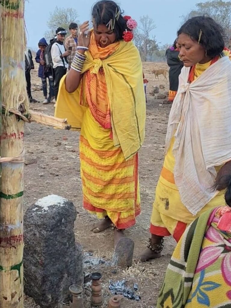 WhatsApp Image 2026-03-11 at 13.29